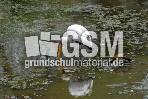 Nimmersatt (9 von 22).jpg